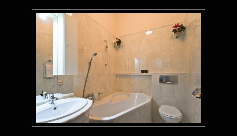 Pension Napoleon Karlovy Vary